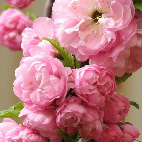 64f7b8990be2d94add5152c155ac4915