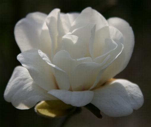 fdcdab7b883db46c6461d37dc1d99b74