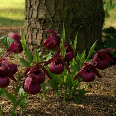 018