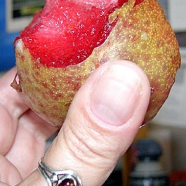265px-030815_pluot