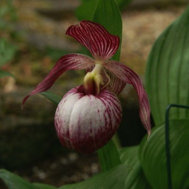 42217797951_ae4cebcb23