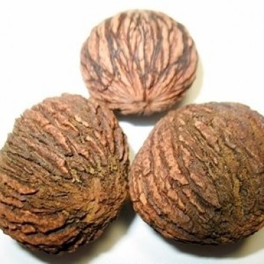chernii-oreh-1-e1416049105454