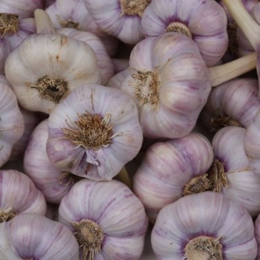 chesnok-lubasha-fasovka-1-kg-23683504098475_small11