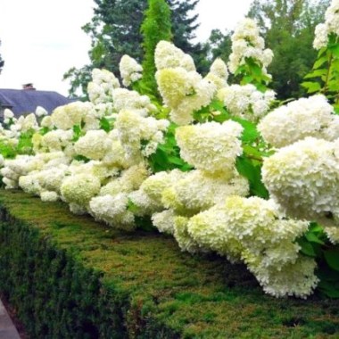 image005-152-640x430