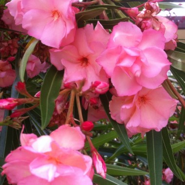 image3