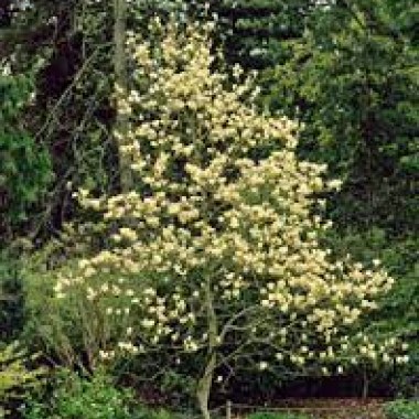 images24