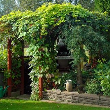 nyd-skyggen-under-en-pergola